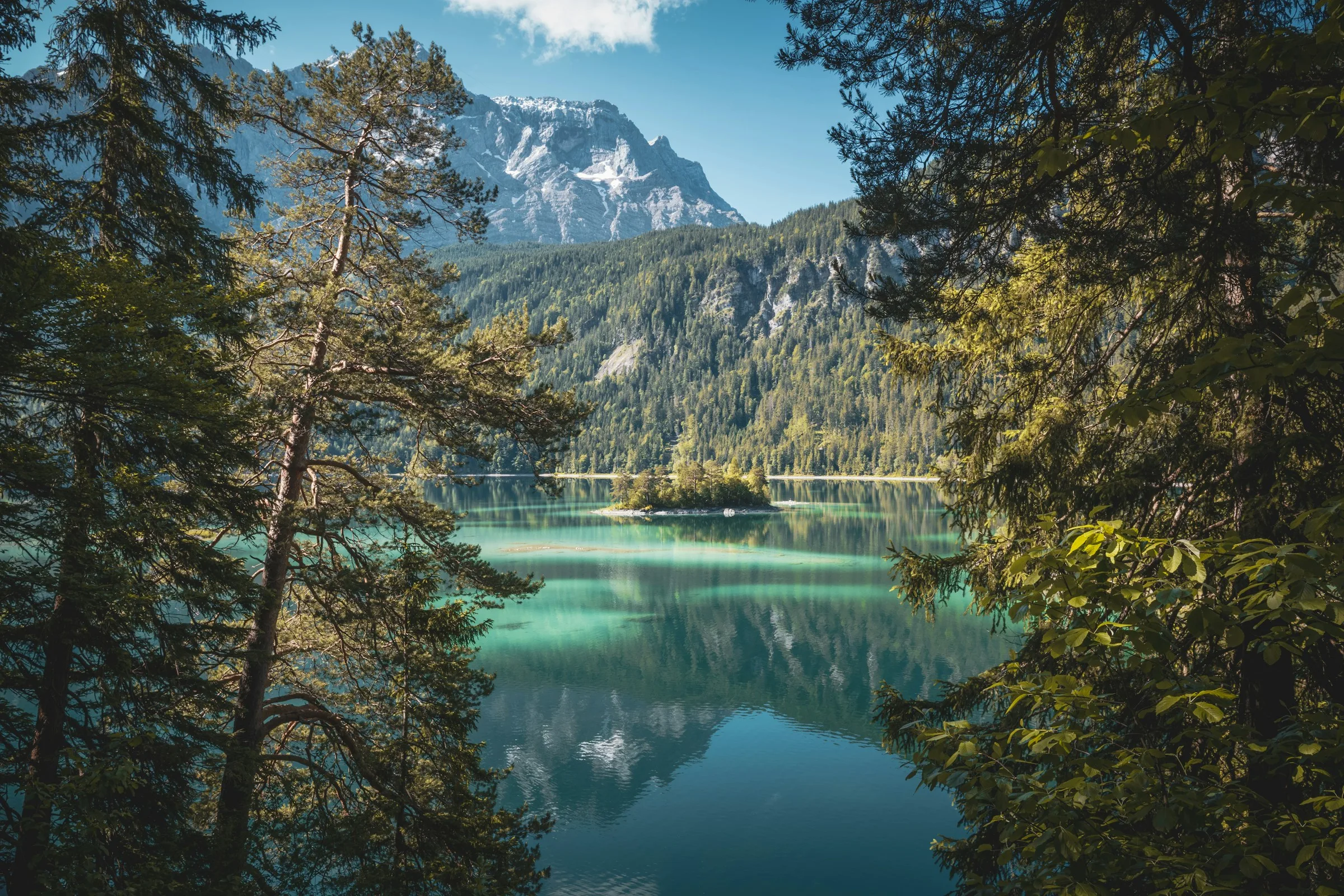 Eibsee in the Bavarian Alps with fir trees and mountain panorama near Grainau