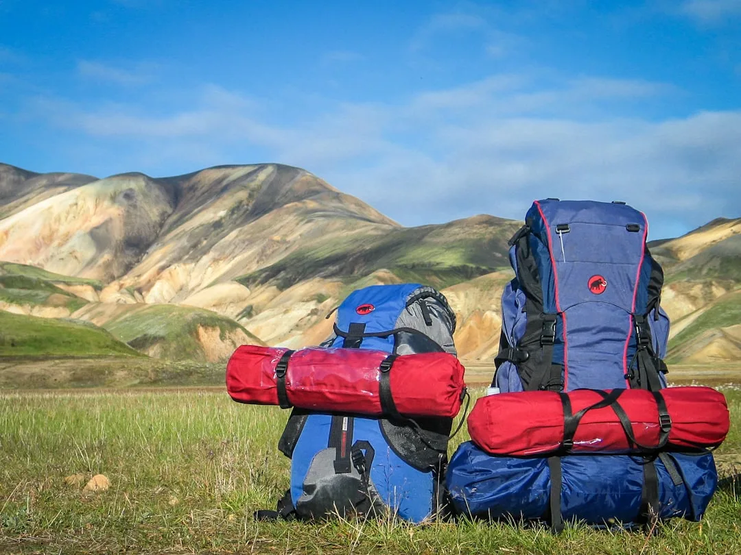 Two hiking backpacks on green grass with colorful mountains in the background